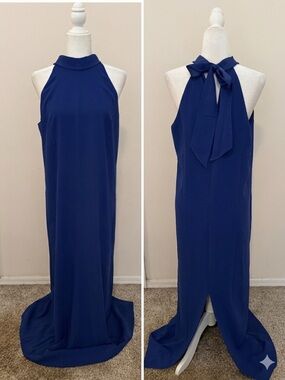 Lilly Pulitzer Blue Alaric Halter Maxi Dress Size 10 Back Tie Minimalist Formal